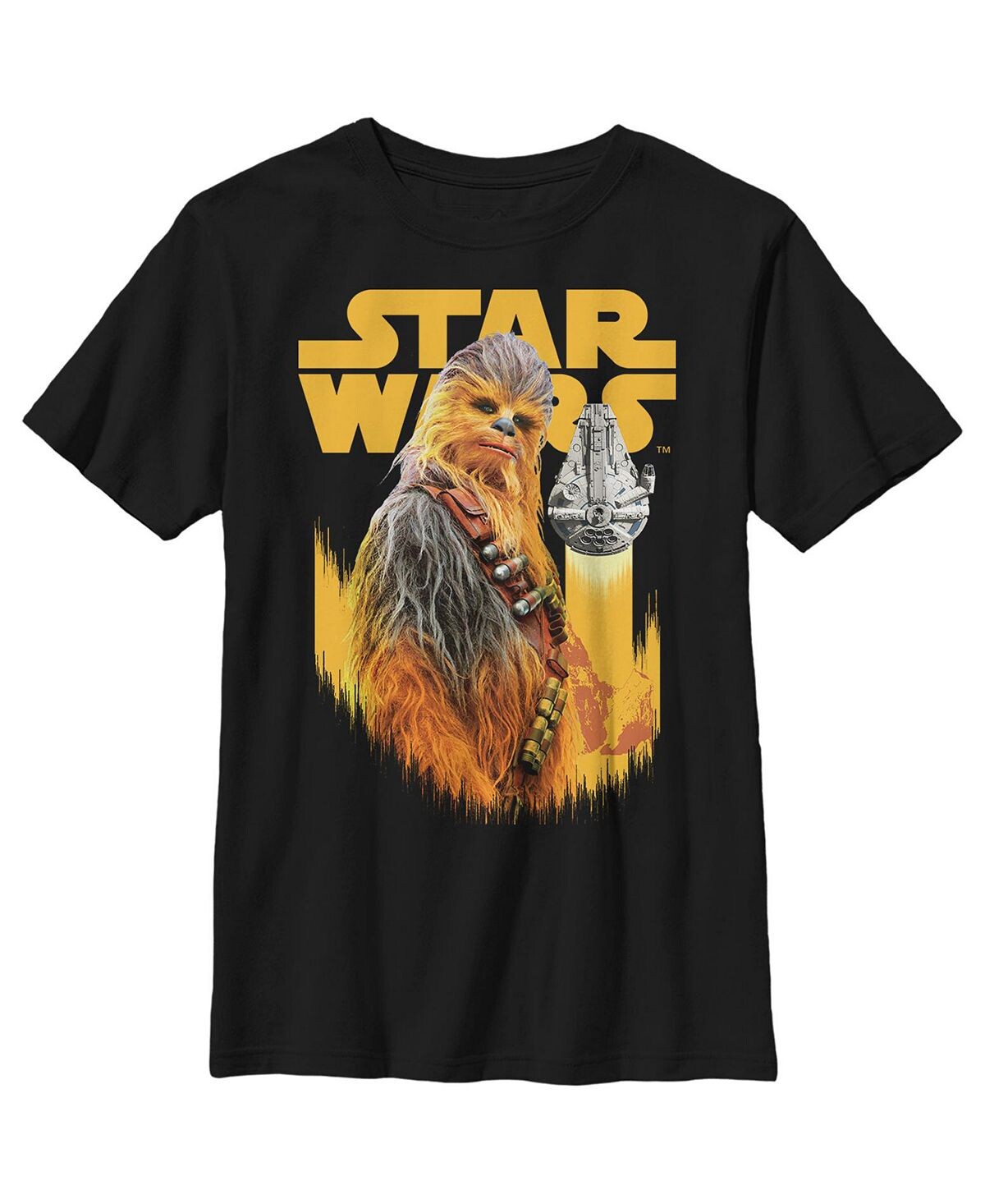 

Детская футболка Boy’s Solo: A Star Wars Story Chewie Pose Disney Lucasfilm