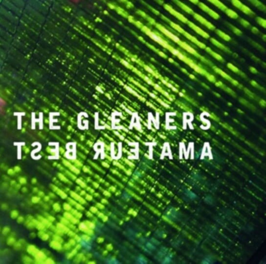 

Виниловая пластинка Amateur Best - The Gleaners