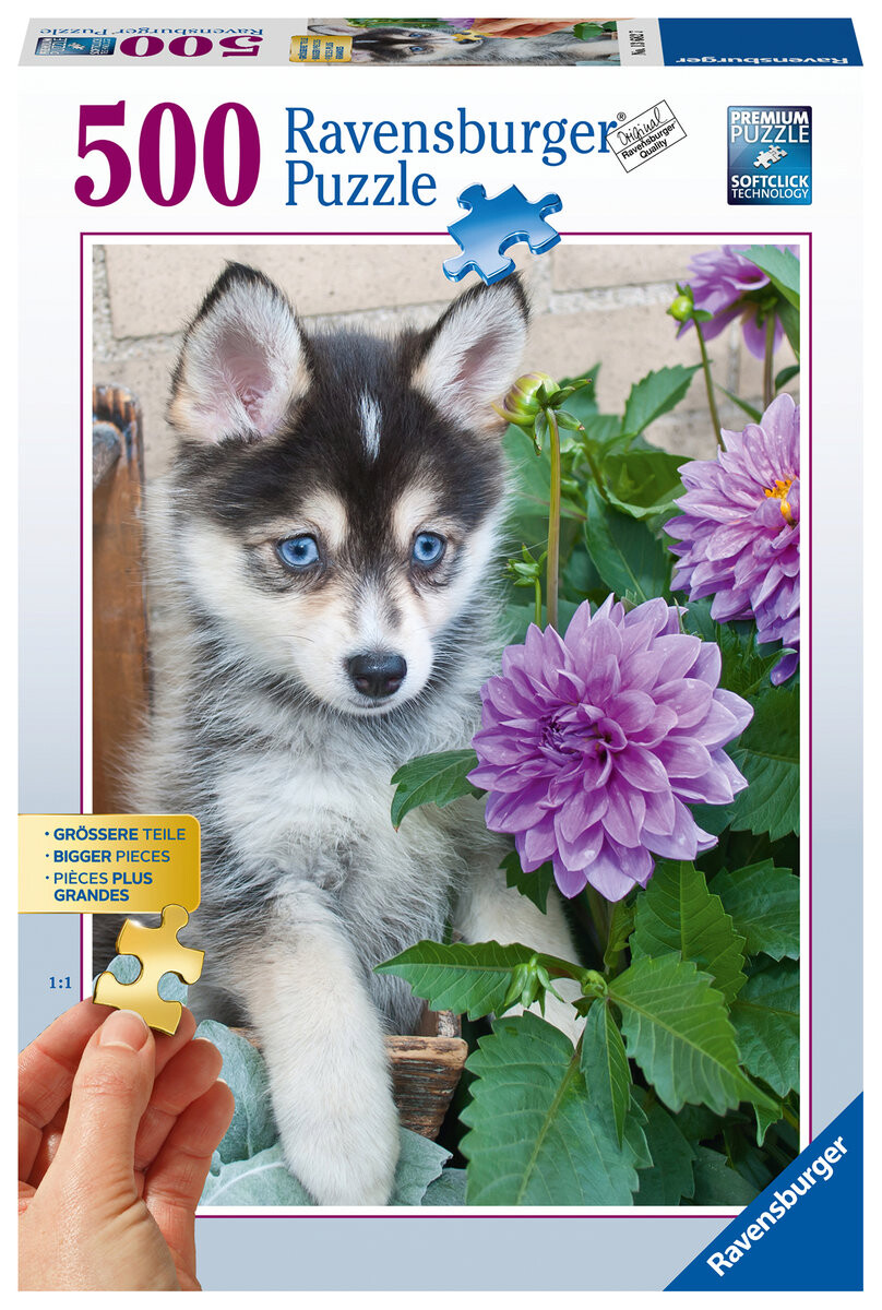 

Ravensburger, пазл, Cute Husky, XXL, 500 шт.