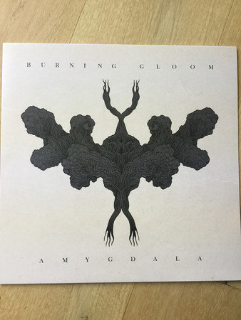 Виниловая пластинка Burning Gloom - Amygdala
