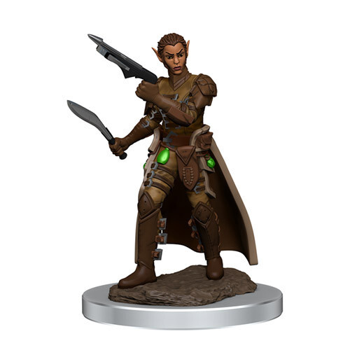 

Миниатюра WizKids/NECA D&D Premium Painted Figure: W7 Female Shifter Rogue