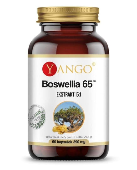 Босвеллия 65 (60 капсул) Yango