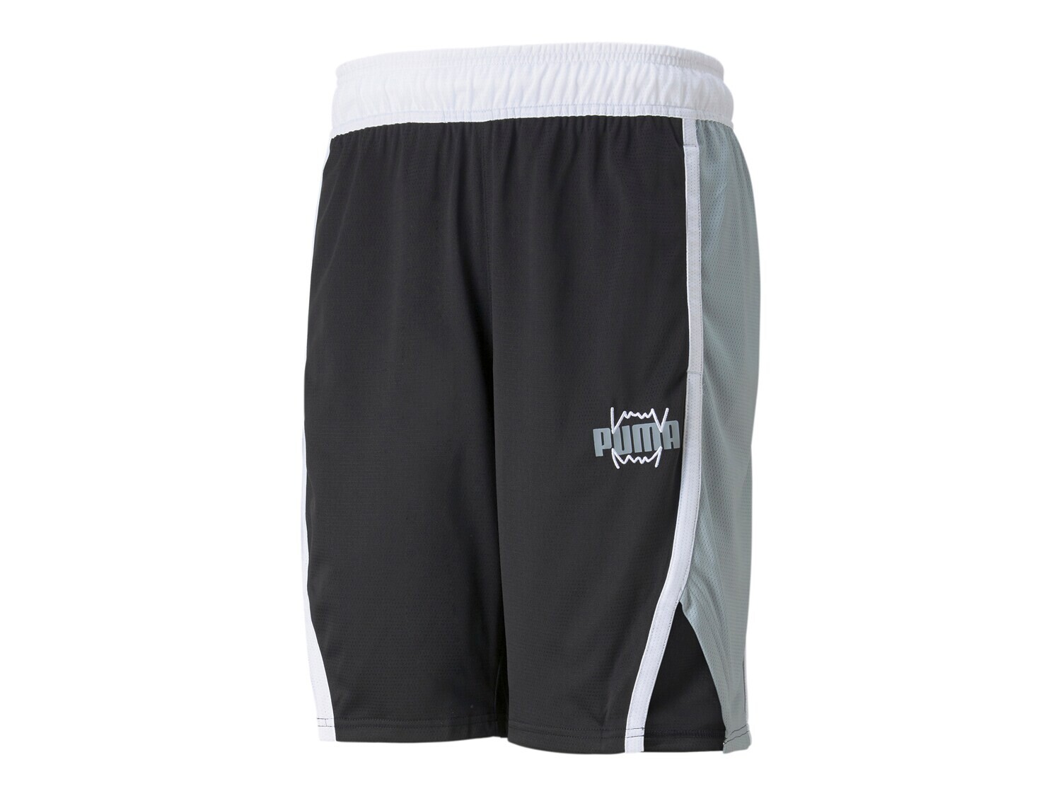 

Шорты мужские Puma Curl, черный / серый