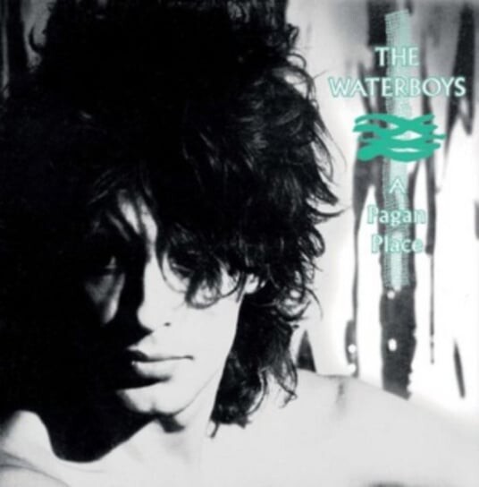 Виниловая пластинка The Waterboys - A Pagan Place