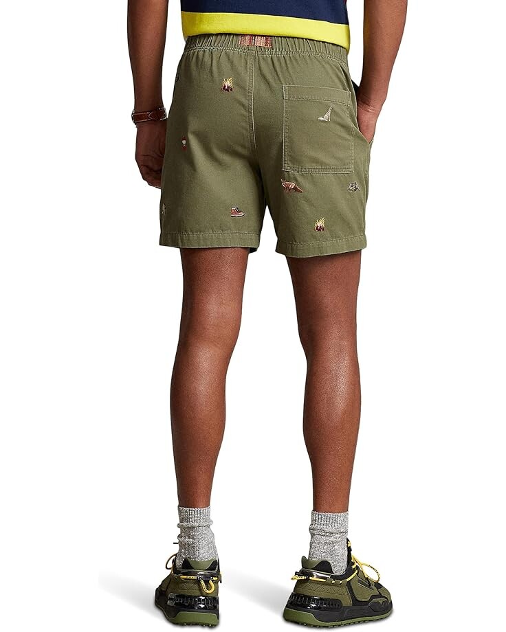 

Шорты Polo Ralph Lauren 6" Embroidered Twill Hiking Shorts, мульти