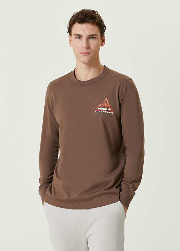

Коричневый свитшот с логотипом adv volcano ls Adidas