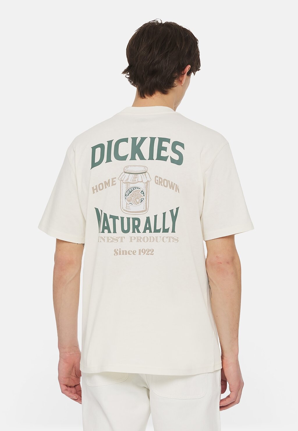 

Футболка с принтом Elliston Tee Dickies, цвет cloud