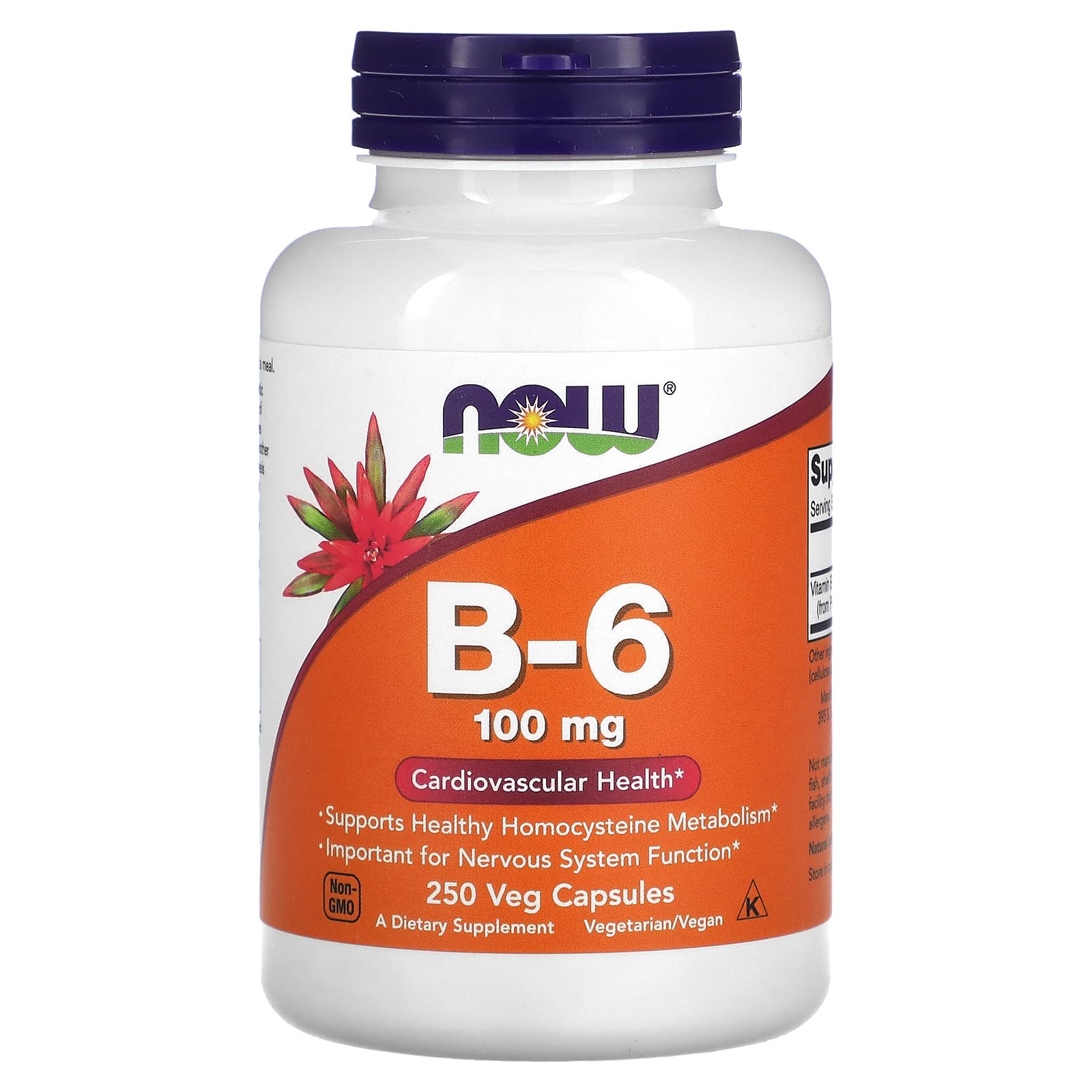 Now Foods B-6 100 мг 250 капсул витамин b 6 now foods 100 мг 250 растительных капсул