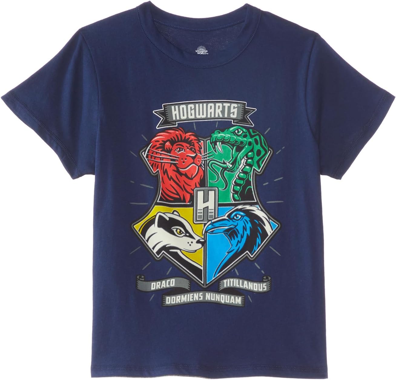 

Футболка Chaser Harry Potter - Hogwarts Crest Short Sleeve Tee, цвет Avalon