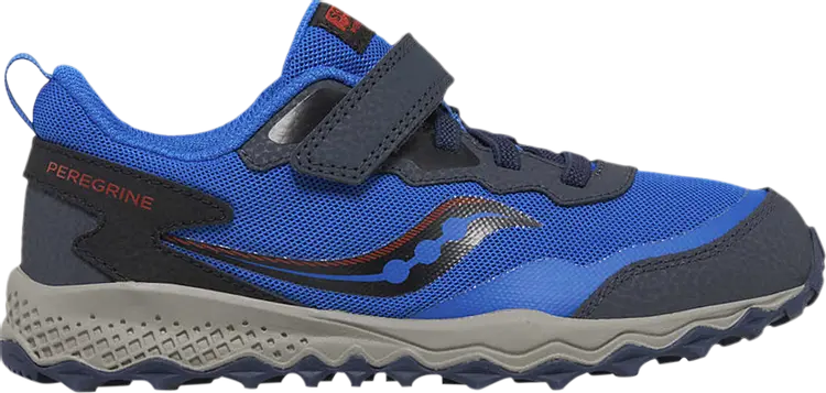 

Кроссовки Peregrine KDZ A/C Big Kid 'Blue Black', синий