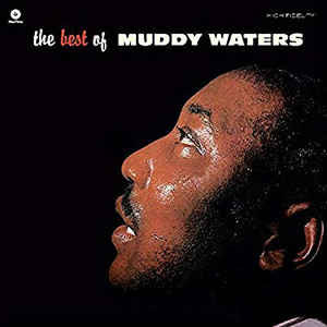 Виниловая пластинка Muddy Waters - Waters, Muddy - Best of audio cd waters muddy hard again