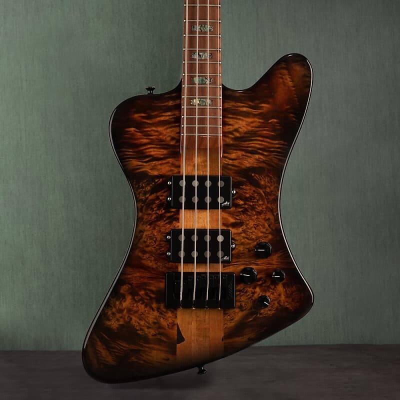 

Басс гитара Spector X Series USA Custom NS-4X Bass Guitar - Ale's Inferno - #022 - Display Model