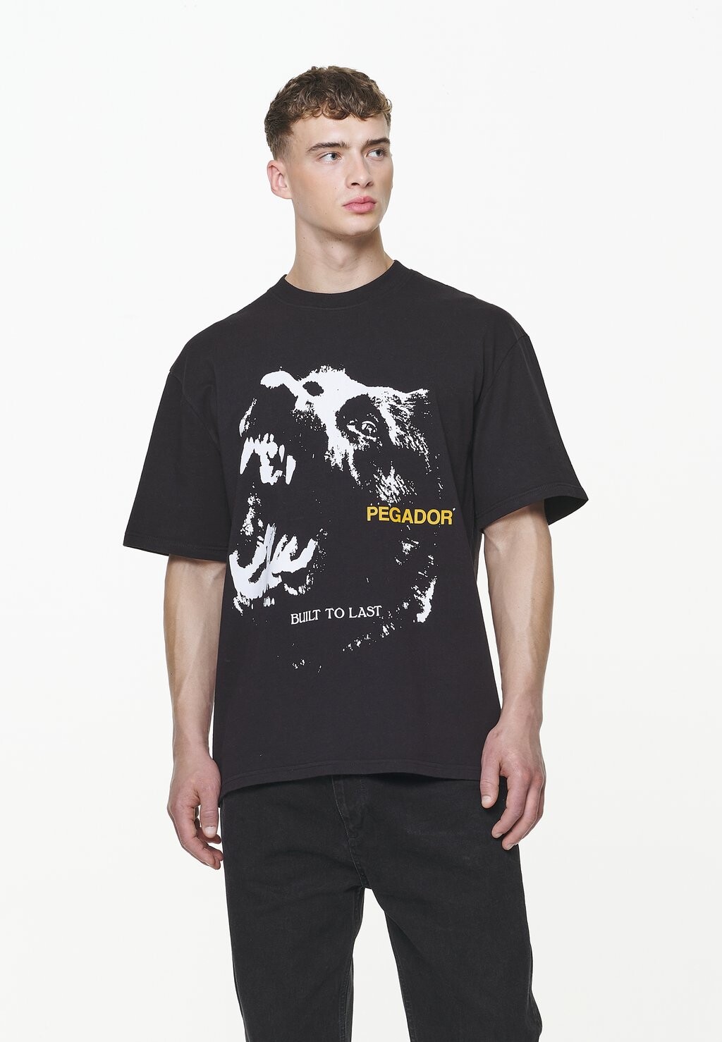 

Футболка с принтом NETHER OVERSIZED TEE Pegador, цвет vintage onyx black