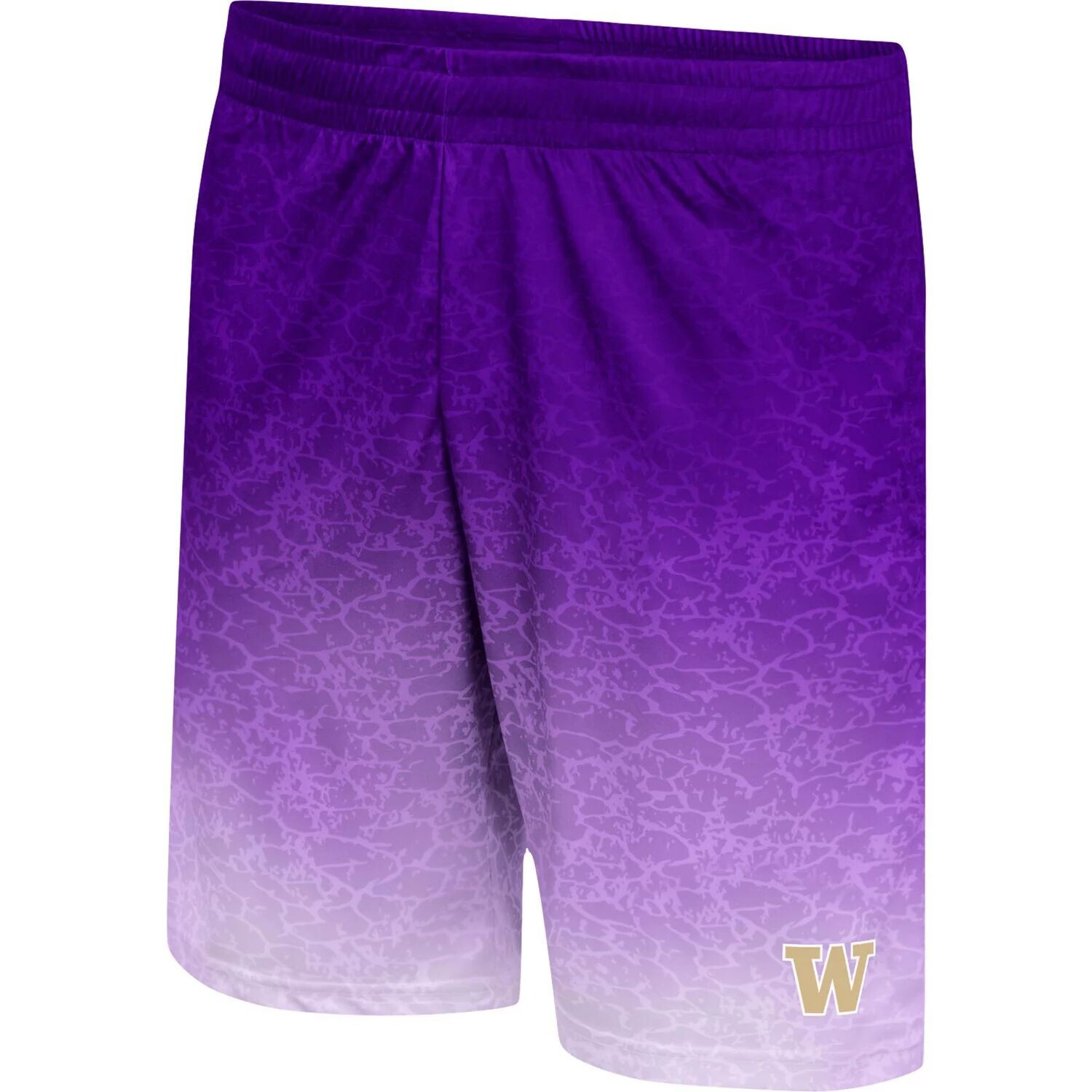 

Мужские фиолетовые шорты Washington Huskies Walter Colosseum