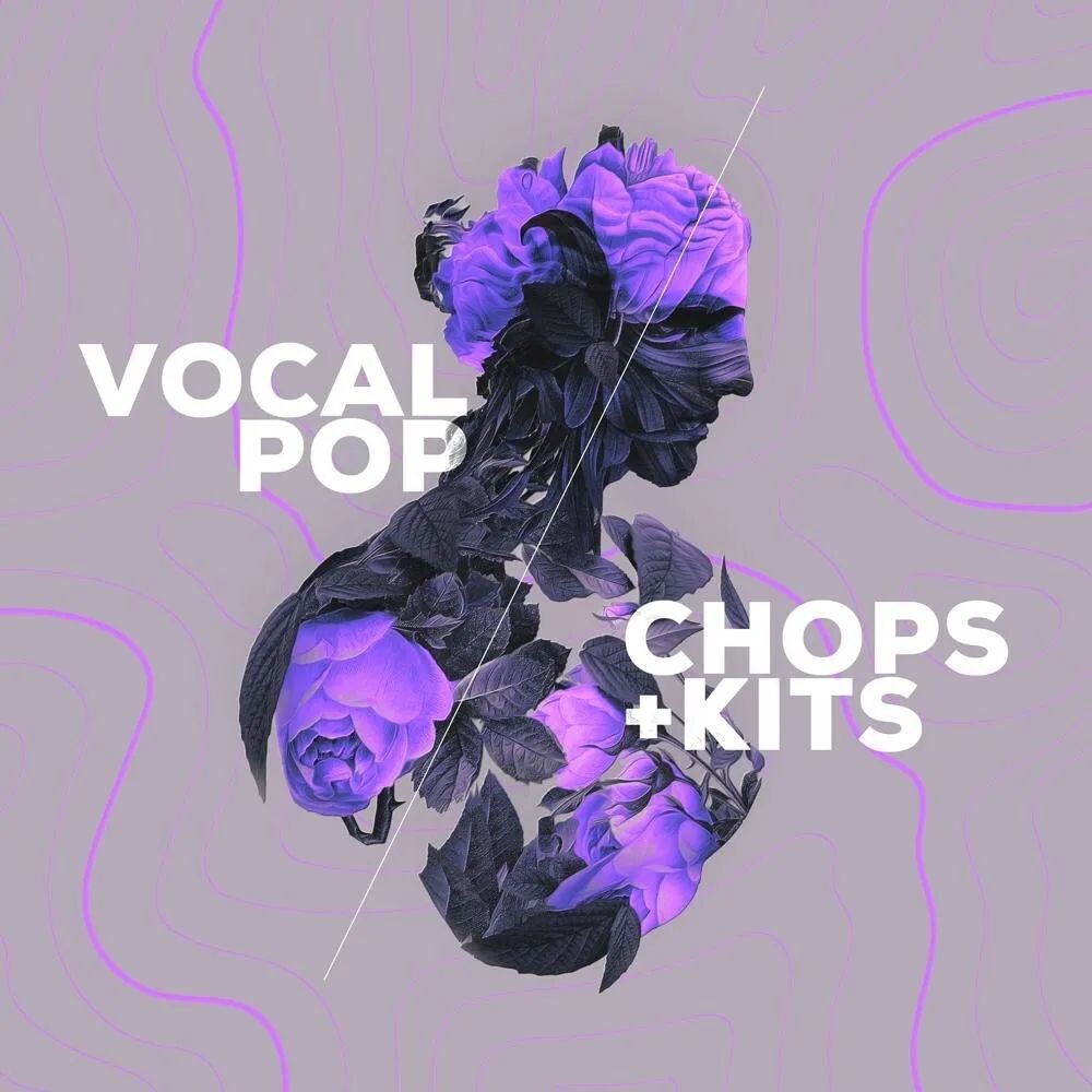 

Расширение Audiomodern Vocal Pop Loopmix
