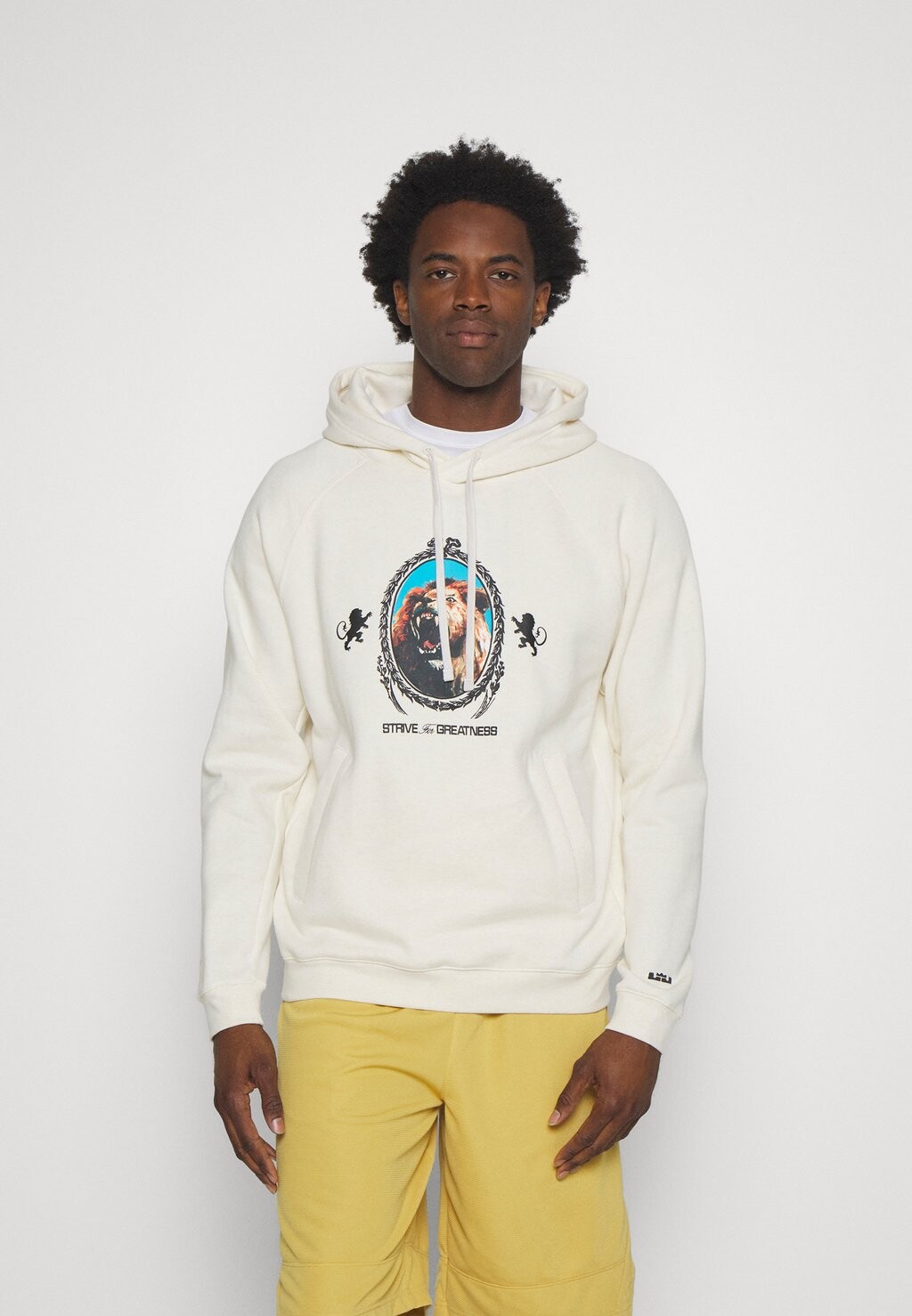 

Толстовка Nike LEBRON JAMES HOODIE, цвет phantom/black