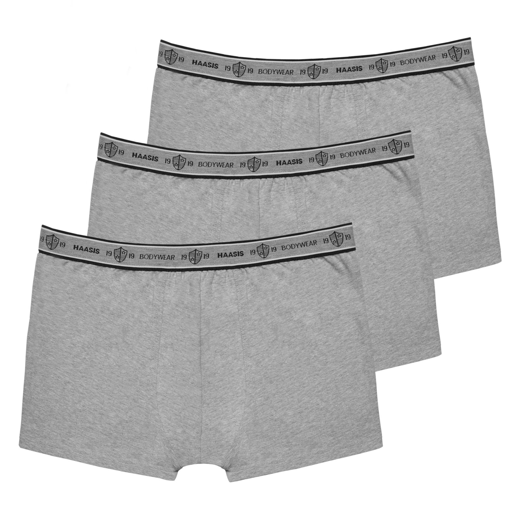 Боксеры Haasis Bodywear 3er-Set: Pants, цвет graumeliert цена и фото