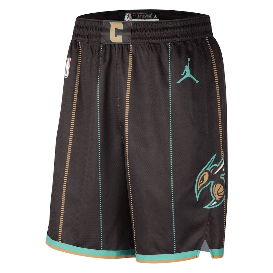 

Шорты Jordan Brand Charlotte Hornets, черный