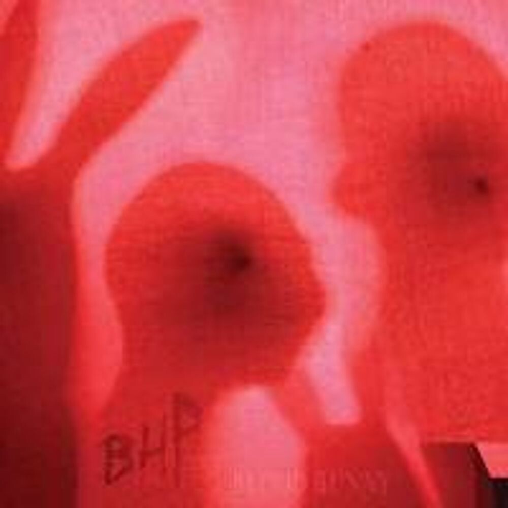 

Диск CD Blood Bunny / Black Rabbit - The Black Heart Procession