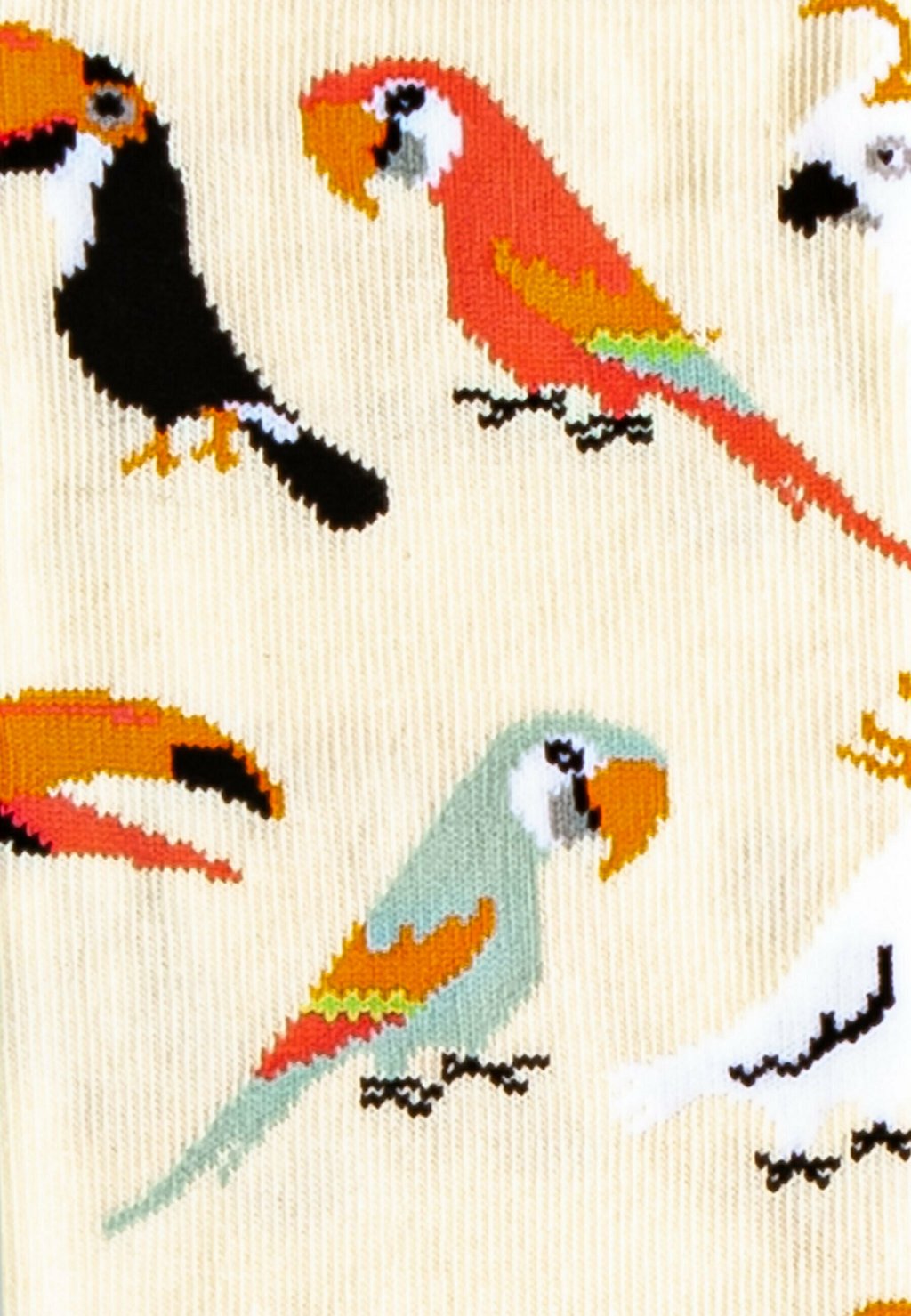 

Носки 3ER SET BIRD CROWD DillySocks, мультиколор