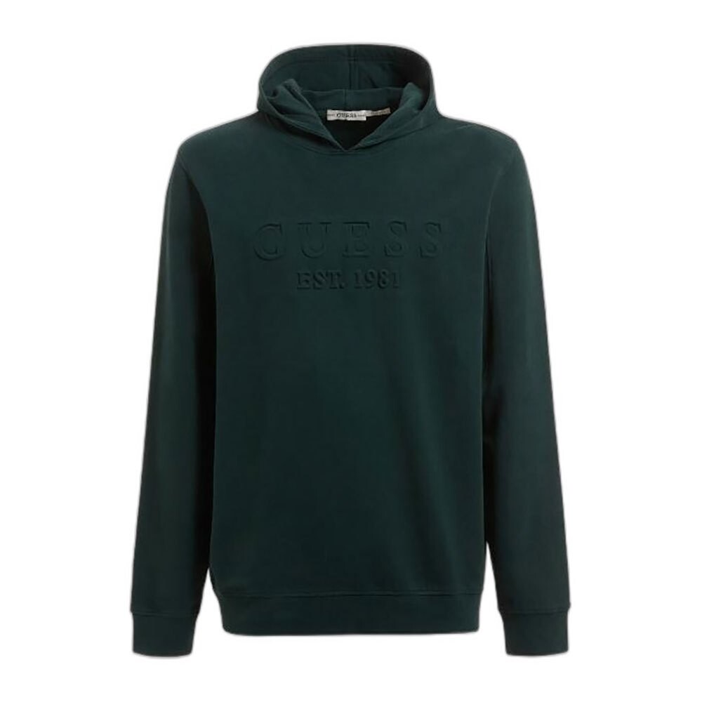 

Толстовка Guess Beau, зеленый