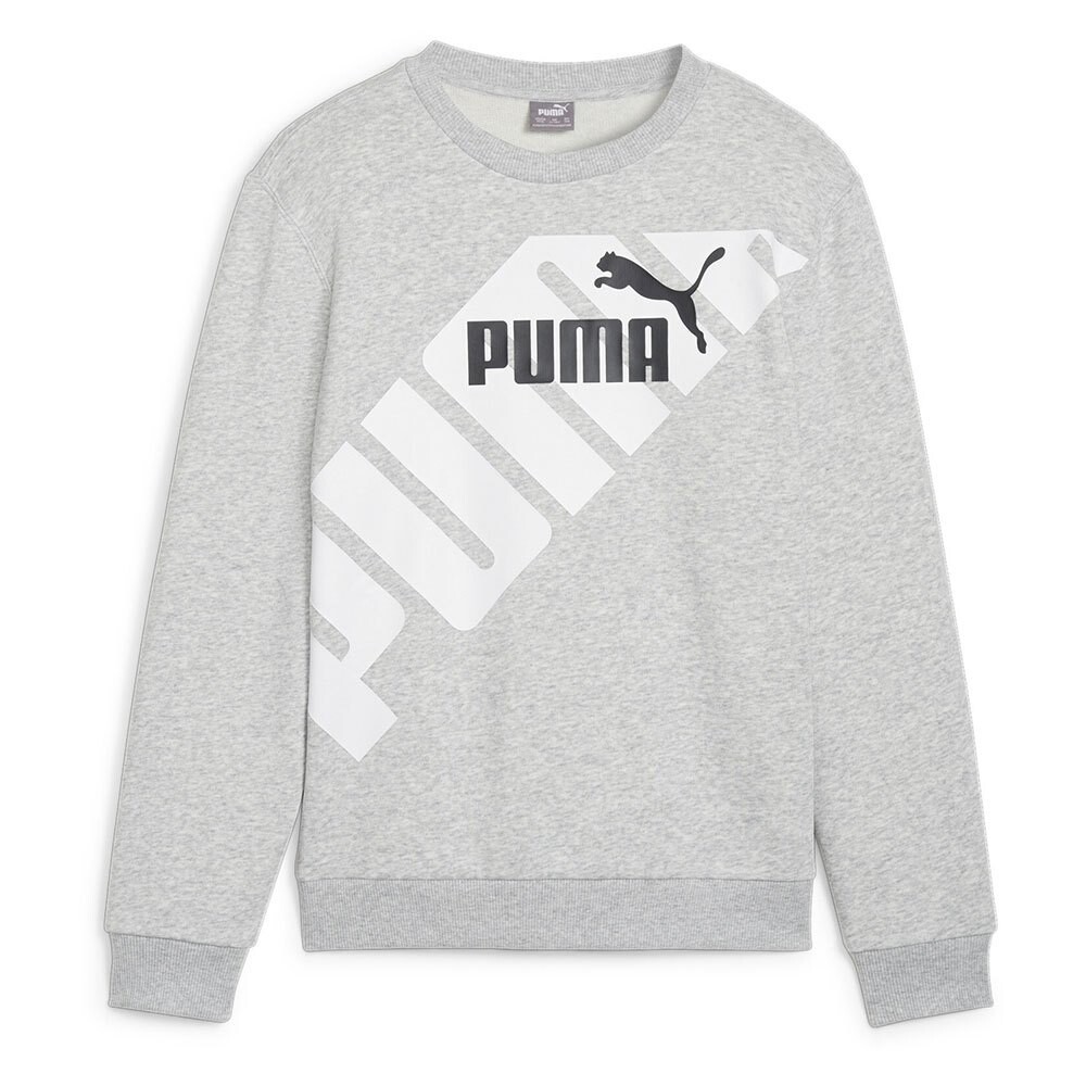 

Толстовка Puma Power Graphic B, серый