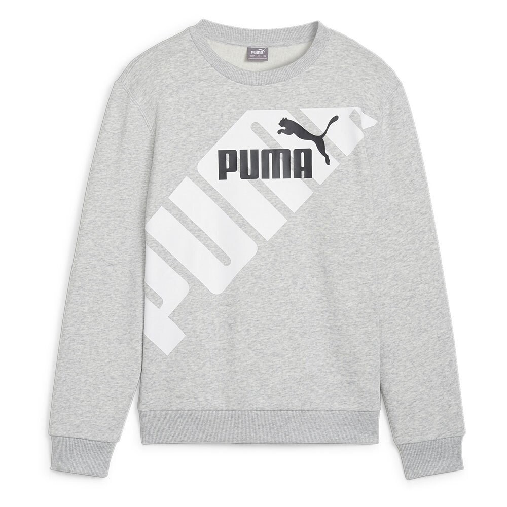 Толстовка Puma Power Graphic B, серый