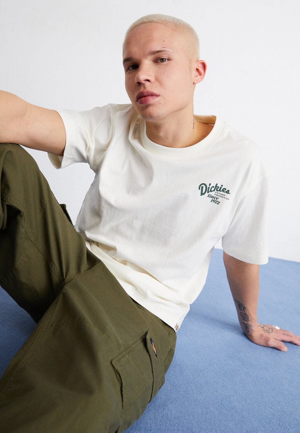

Футболка с принтом Raven Tee Dickies, цвет cloud