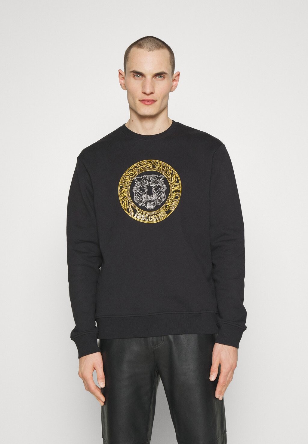 

Толстовка TIGER CRYSTAL Just Cavalli, черный
