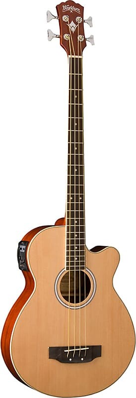 

Басс гитара Washburn Acoustic Bass AB5 w/Gigbag