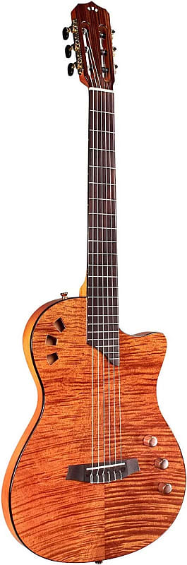 цена Акустическая гитара Cordoba Stage Amber - Semi Hollow Body Nylon String Acoustic Electric - 2023