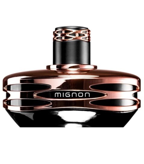 

Парфюмированная вода, 100 мл Armaf, Mignon Black