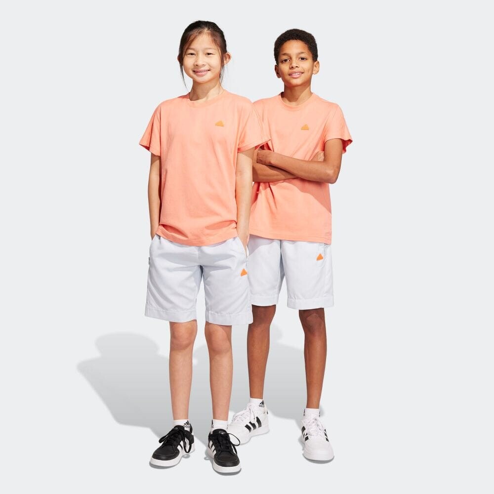 

Шорты Adidas IC3328
