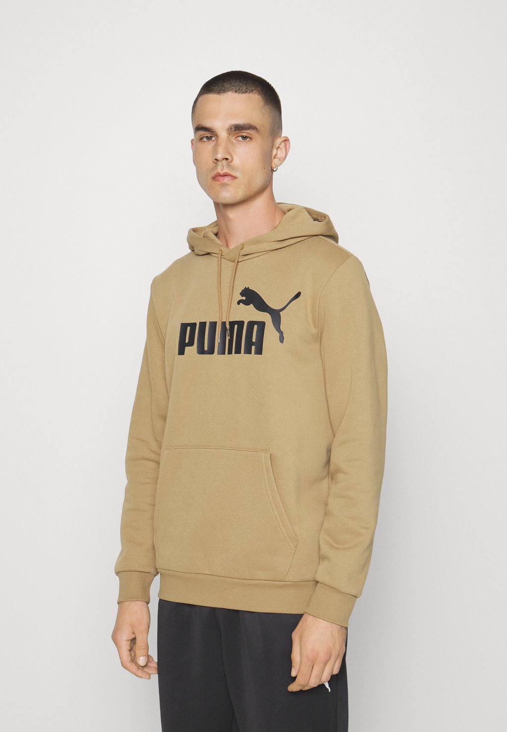 

Толстовка BIG LOGO HOODIE Puma, поджаренный