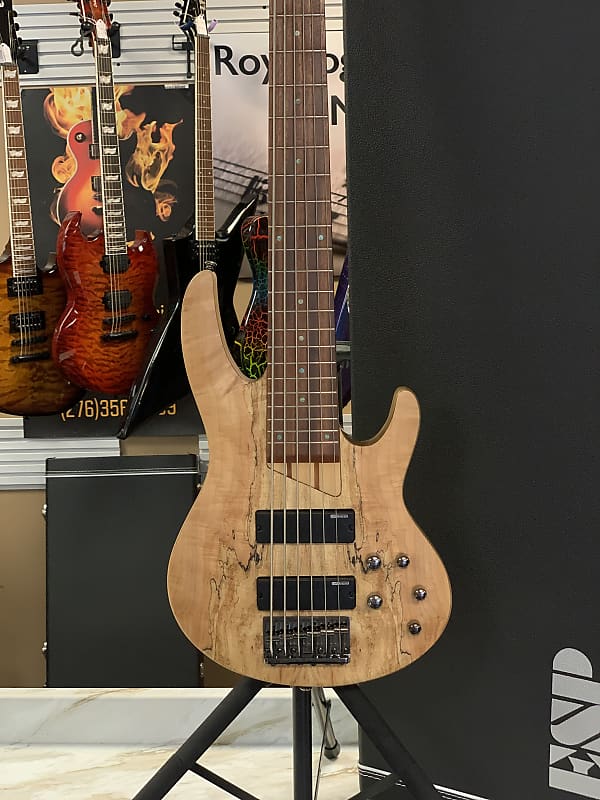 Басс гитара ESP LTD B-206SM Natural Satin With Case