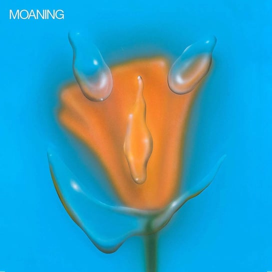 Виниловая пластинка Moaning - Uneasy Laughter
