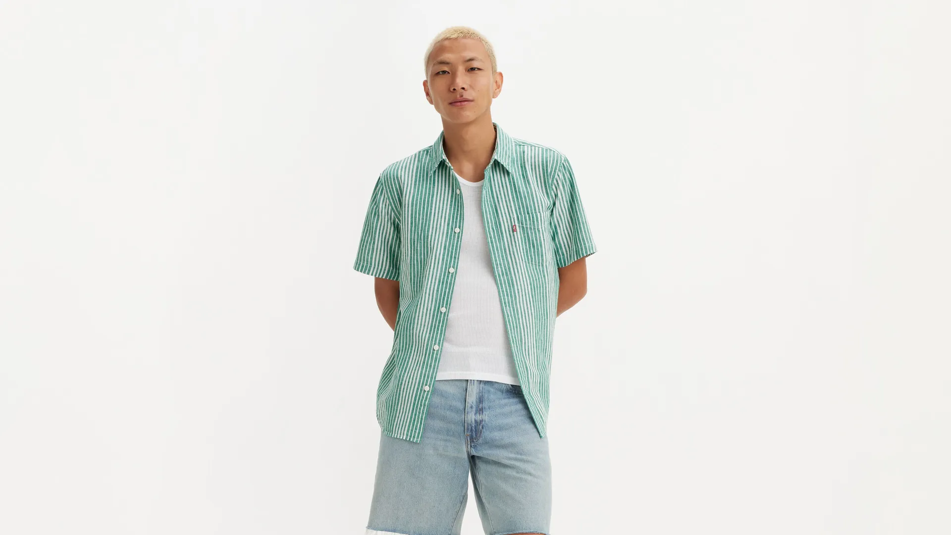 

Классическая рубашка стандартного кроя с короткими рукавами Levi's, зеленый