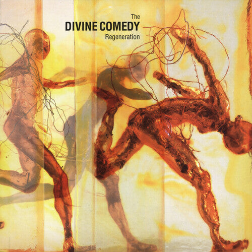 

Виниловая пластинка Divine Comedy: Regeneration