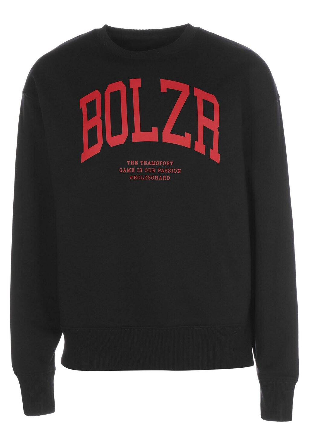 

Толстовка Bolzr