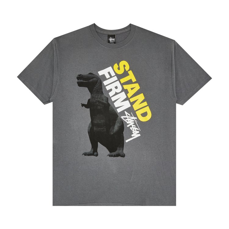 

Футболка Stussy Stand Firm Dino 'Charcoal', серый