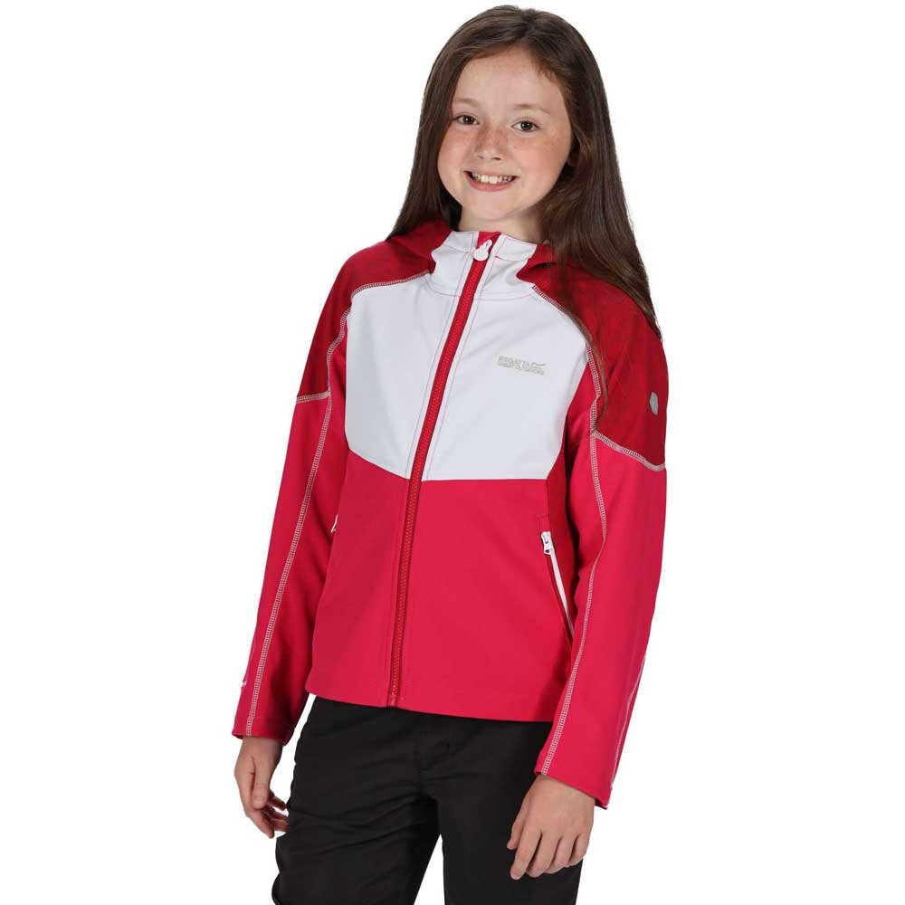 

Толстовка на молнии Regatta Acidity IV Hooded, розовый