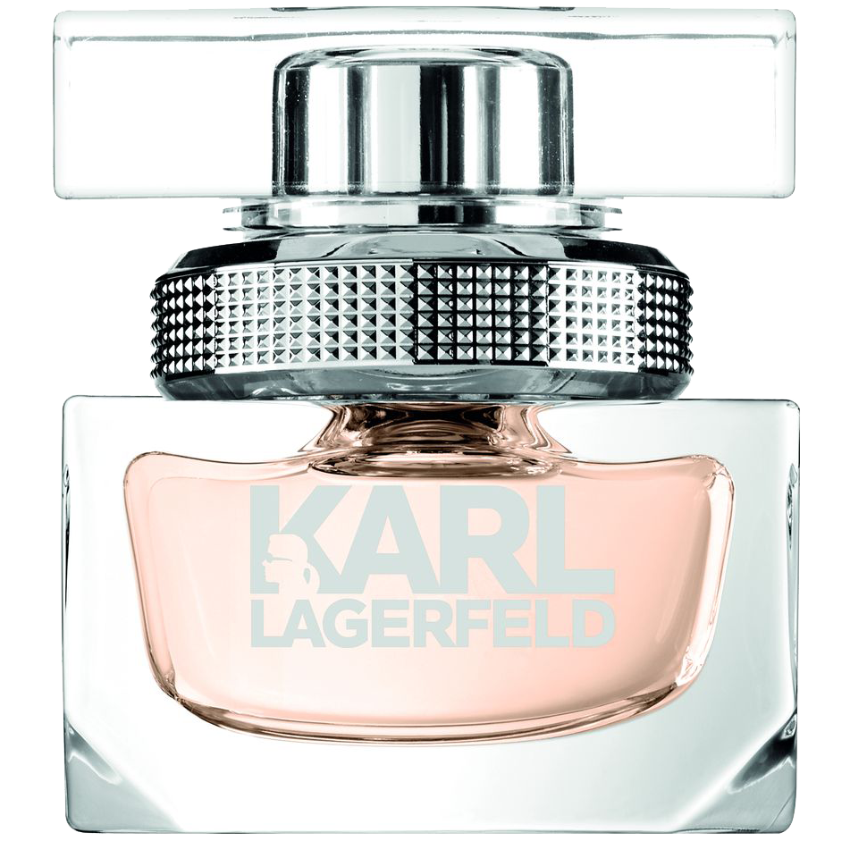 Женская парфюмированная вода Karl Lagerfeld Women, 25 мл женская парфюмированная вода karl lagerfeld women 85 мл