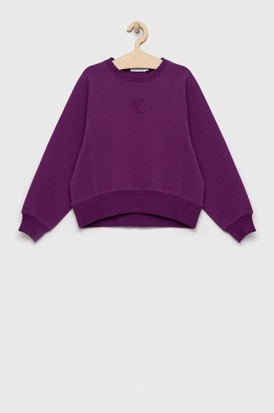 

Детская толстовка Calvin Klein Jeans, фиолетовый