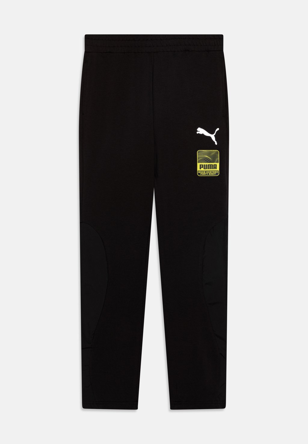 

Спортивные брюки Active Sports Pants Unisex Puma, черный