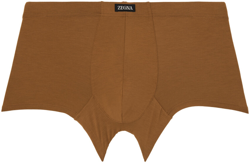

Коричневые боксеры с нашивками ZEGNA