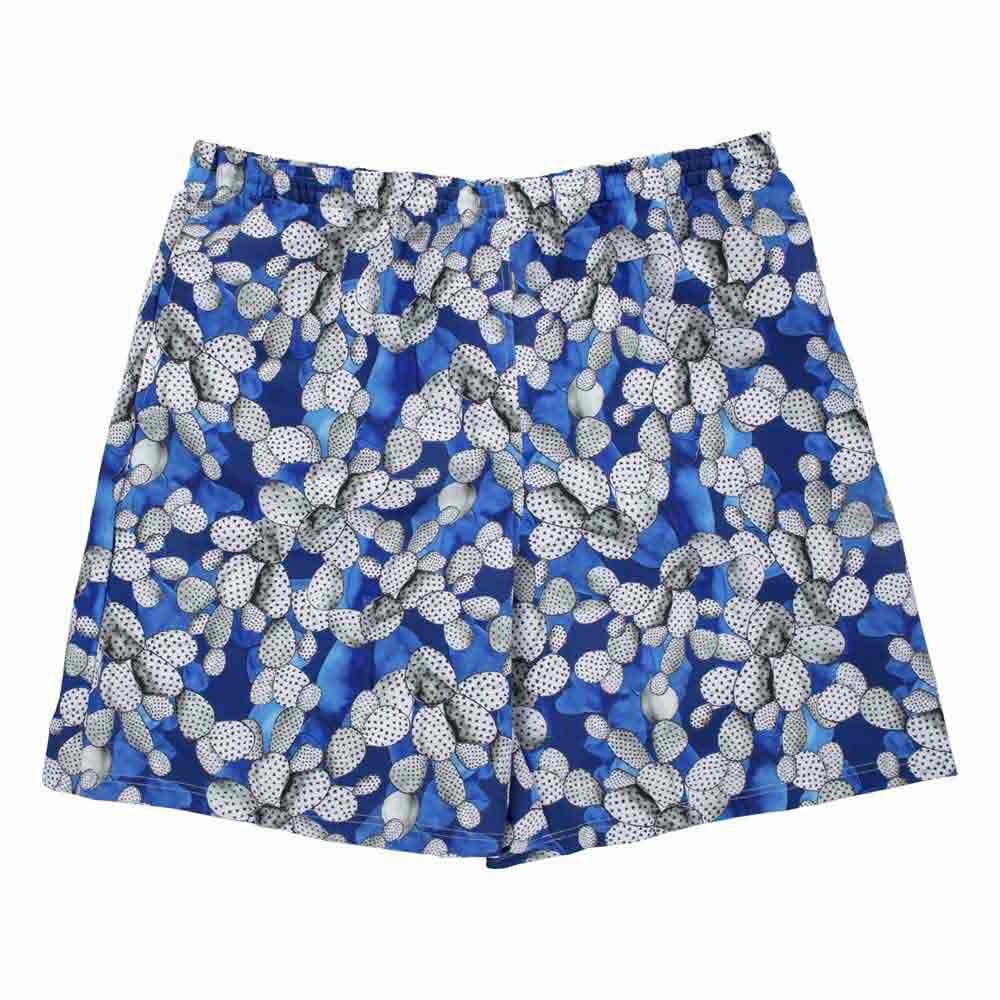 

Шорты для плавания Fashy 24980 Swimming Shorts, Разноцветный