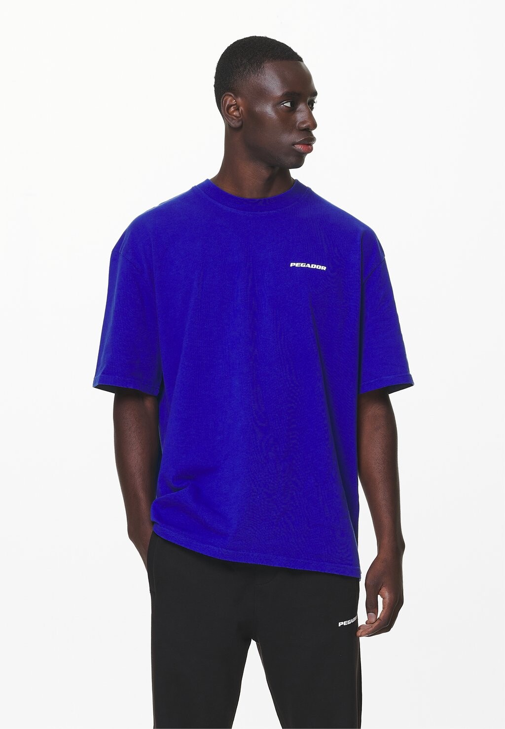 

Футболка базовая LOGO TEE Pegador, цвет washed endless blue
