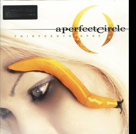 Виниловая пластинка A Perfect Circle - Thirteenth Step виниловая пластинка ward eleri a perfect little death