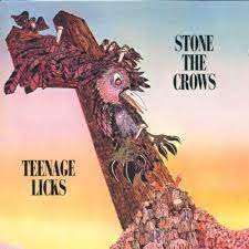Виниловая пластинка Stone the Crows - Teenage Licks soul licks floops