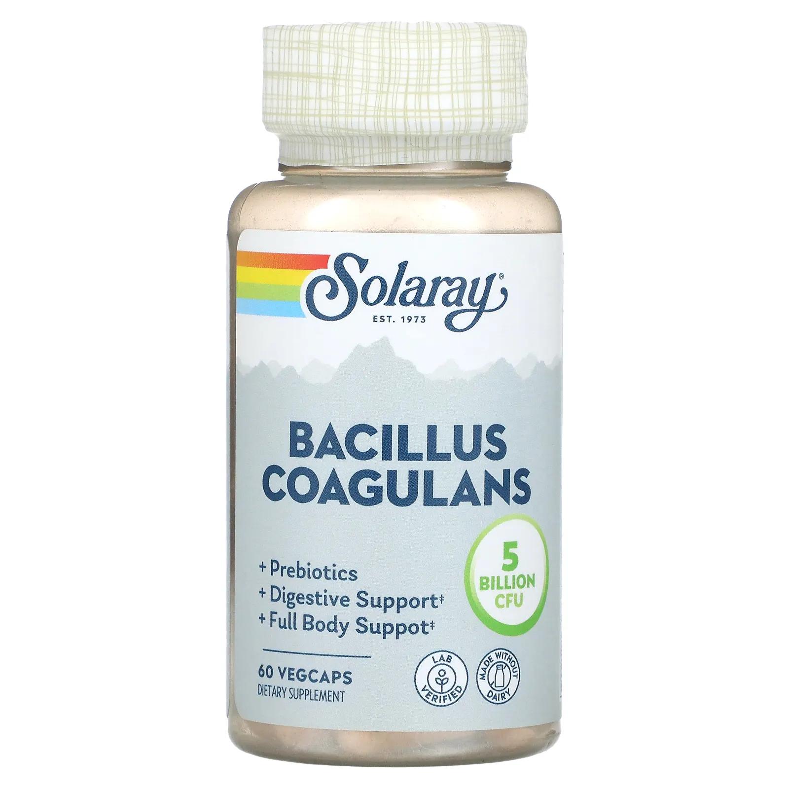 Solaray Bacillus Coagulans 5 Billion 60 Vegetarian Capsules solaray immufight ultimate immune support 90 vegetarian capsules